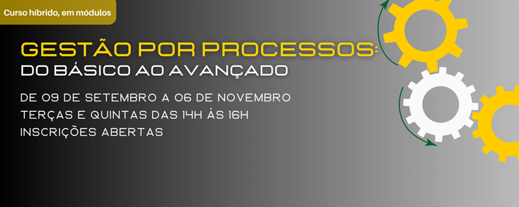gesto por processos do bsico ao avanado2