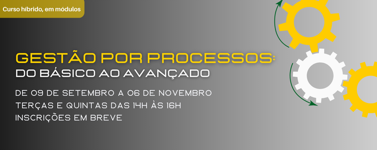 Curso Híbrido: Gestão por Processos do básico ao avançado 